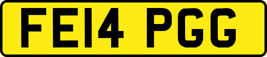 FE14PGG