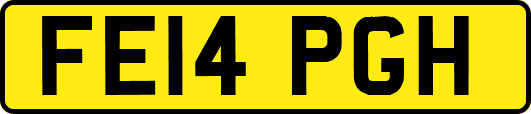 FE14PGH