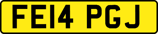 FE14PGJ