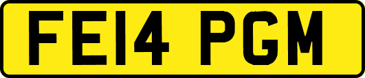 FE14PGM