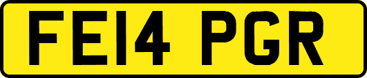 FE14PGR