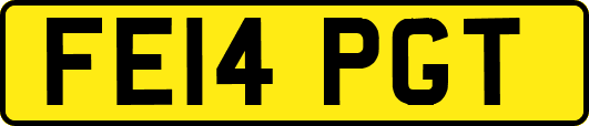 FE14PGT