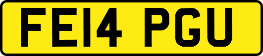 FE14PGU