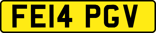 FE14PGV
