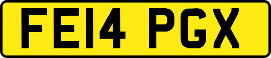 FE14PGX