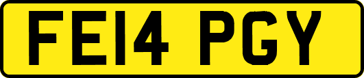 FE14PGY