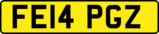 FE14PGZ