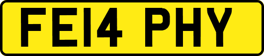 FE14PHY