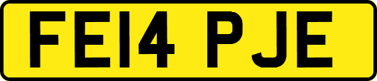 FE14PJE