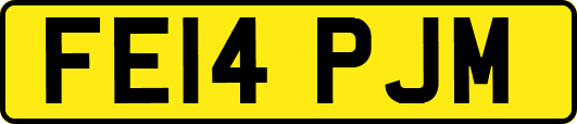 FE14PJM