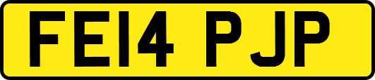 FE14PJP