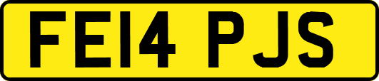 FE14PJS