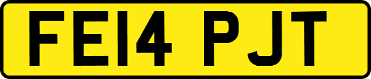 FE14PJT