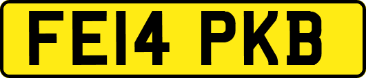 FE14PKB