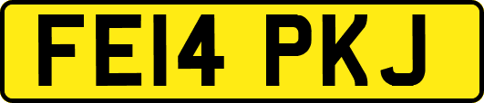 FE14PKJ