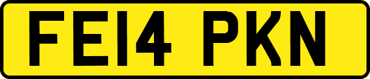 FE14PKN