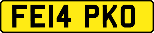 FE14PKO