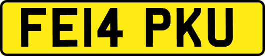 FE14PKU