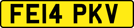 FE14PKV