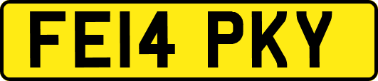 FE14PKY