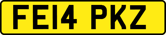 FE14PKZ