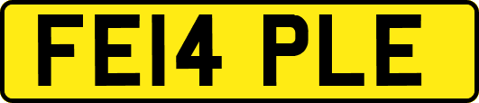 FE14PLE