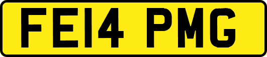 FE14PMG