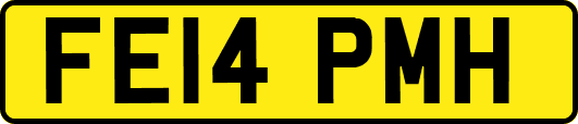 FE14PMH