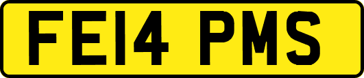 FE14PMS