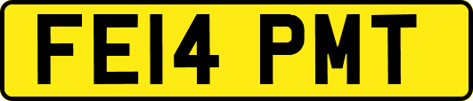 FE14PMT