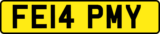 FE14PMY