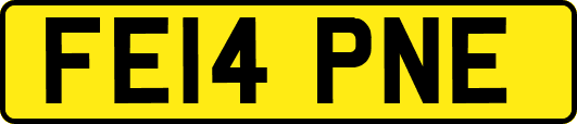 FE14PNE
