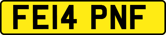 FE14PNF