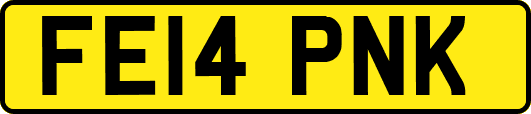 FE14PNK