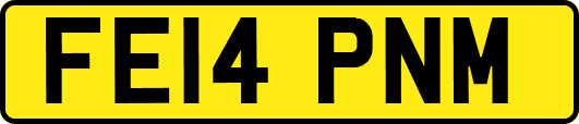 FE14PNM