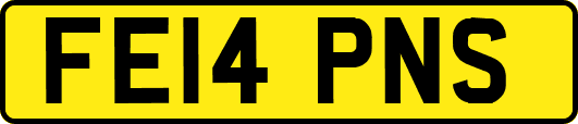 FE14PNS