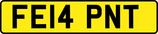 FE14PNT