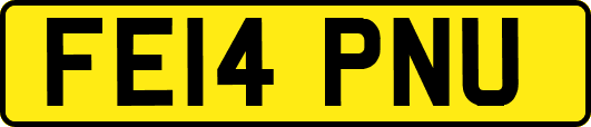 FE14PNU
