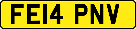 FE14PNV