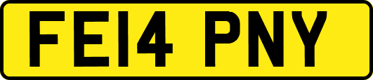 FE14PNY