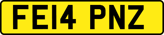 FE14PNZ