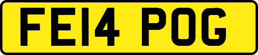 FE14POG