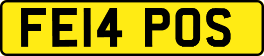 FE14POS