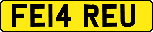 FE14REU