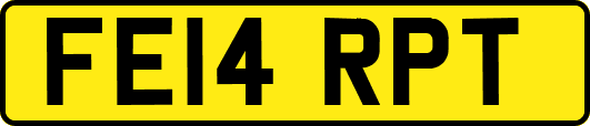FE14RPT