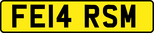 FE14RSM