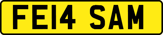 FE14SAM