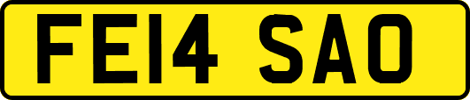 FE14SAO