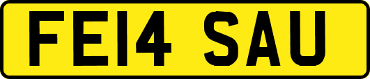 FE14SAU