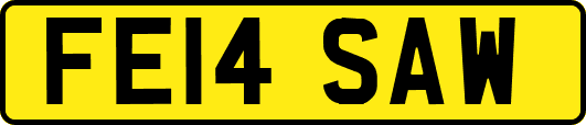 FE14SAW